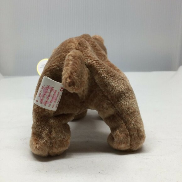Ty Beanie Baby Pecan Bear Plush Stuffed Animal Retired W Tag April 15 1999 - Picture 3 of 10